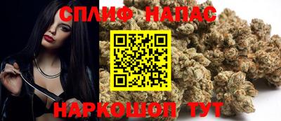 прущие грибы Аргун
